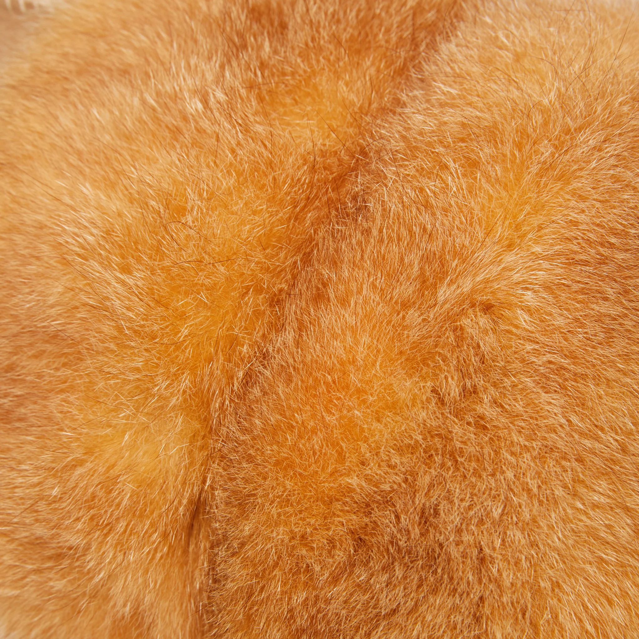 Women's Foxy Tall - Image 14
